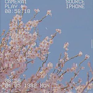 Meet your Posher, Milan